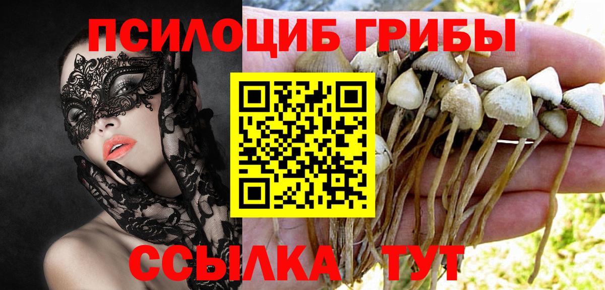 Галлюциногенные грибы MAGIC MUSHROOMS Камень-на-Оби