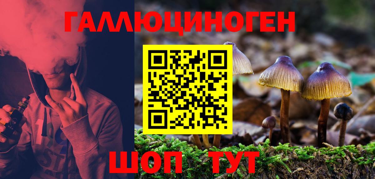 Псилоцибиновые грибы мицелий  Вход с VPN  Камень-на-Оби 